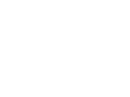 Logo Premium Alliance